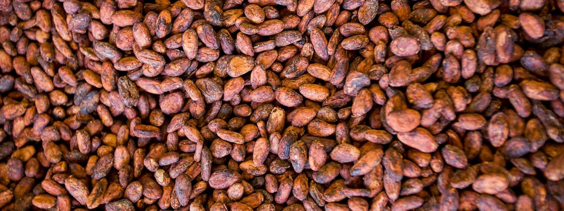 beans