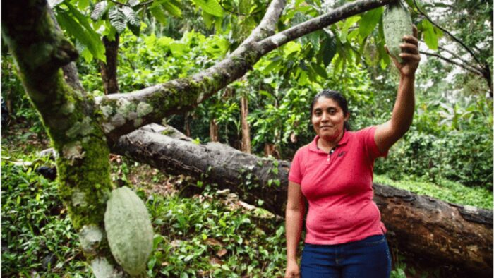NICARAGUA - V’vaya Organic - Image 2