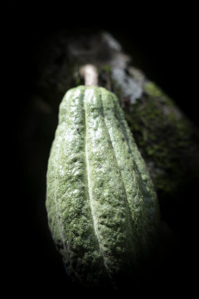 UGANDA - MUKALI