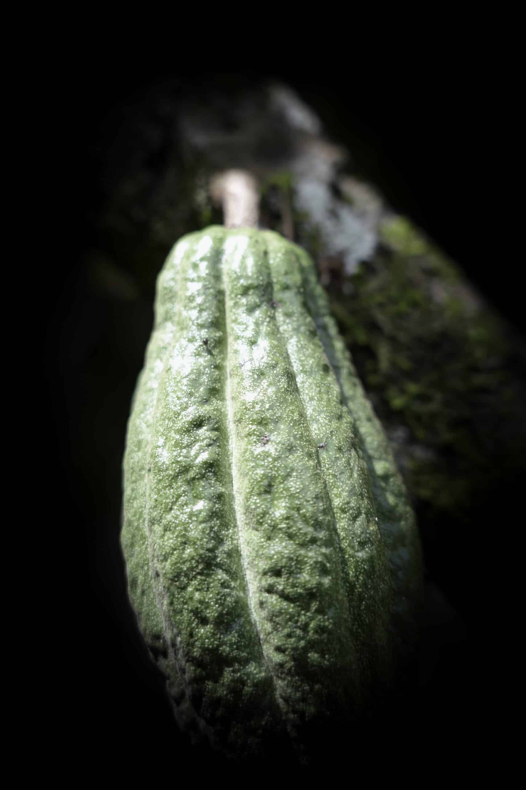 UGANDA - MUKALI