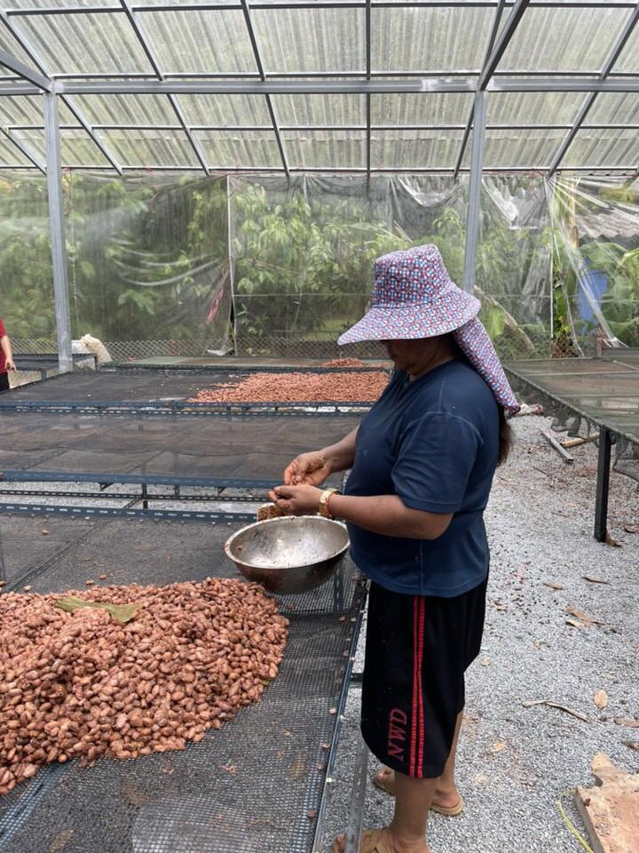 SILVA - The Art of Cacao Sourcing