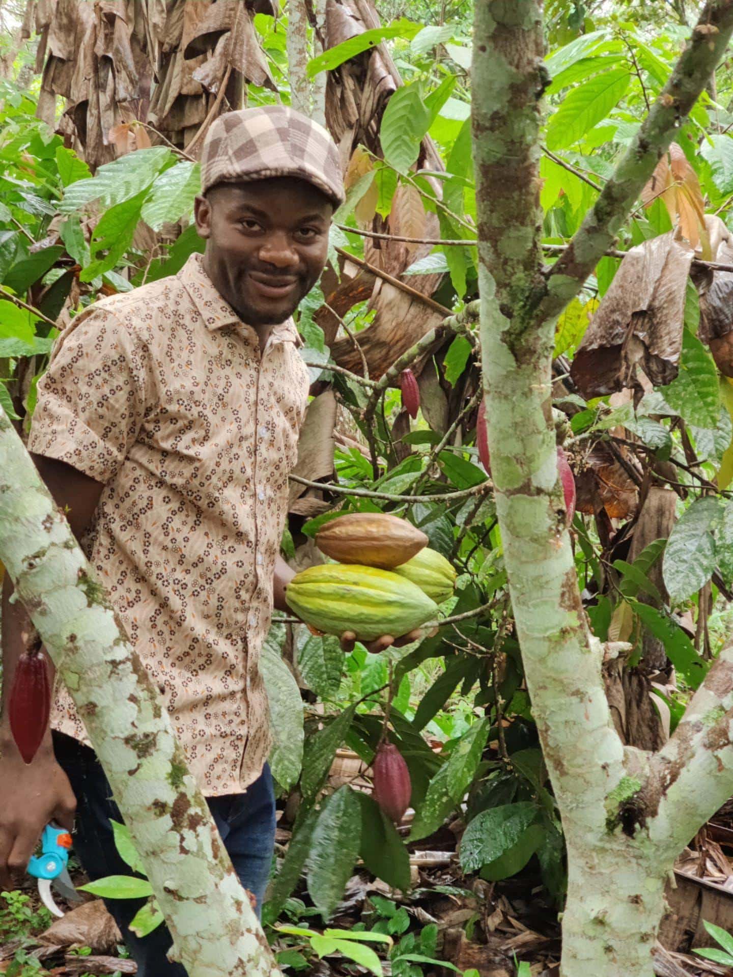 SILVA - The Art of Cacao Sourcing