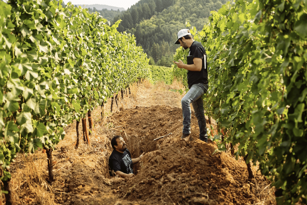 Tracing Taste: Unwrapping Origins, Terroir and Identity in Chocolate