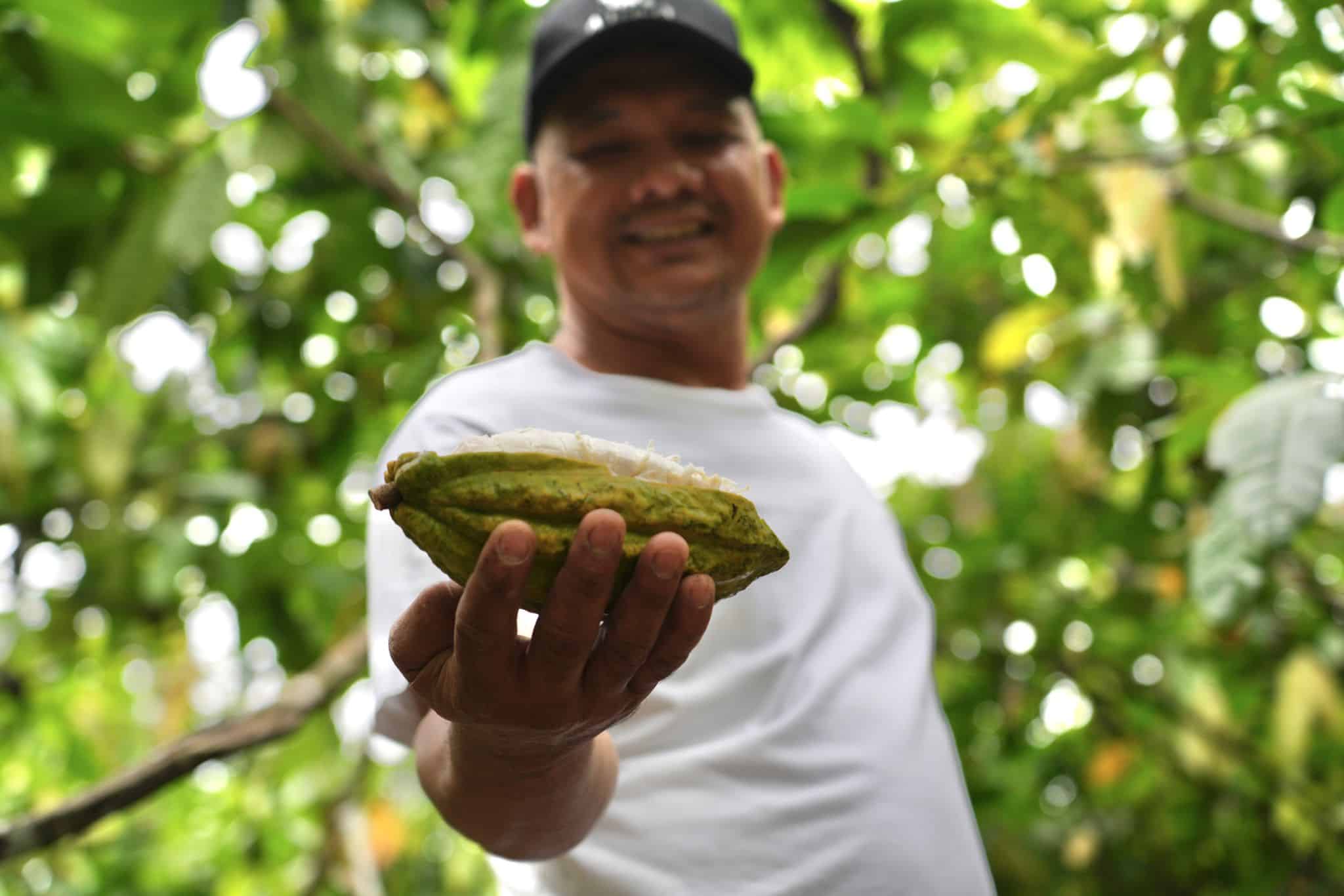 SILVA CACAO - Raising the Bar with Single Variety Cacao