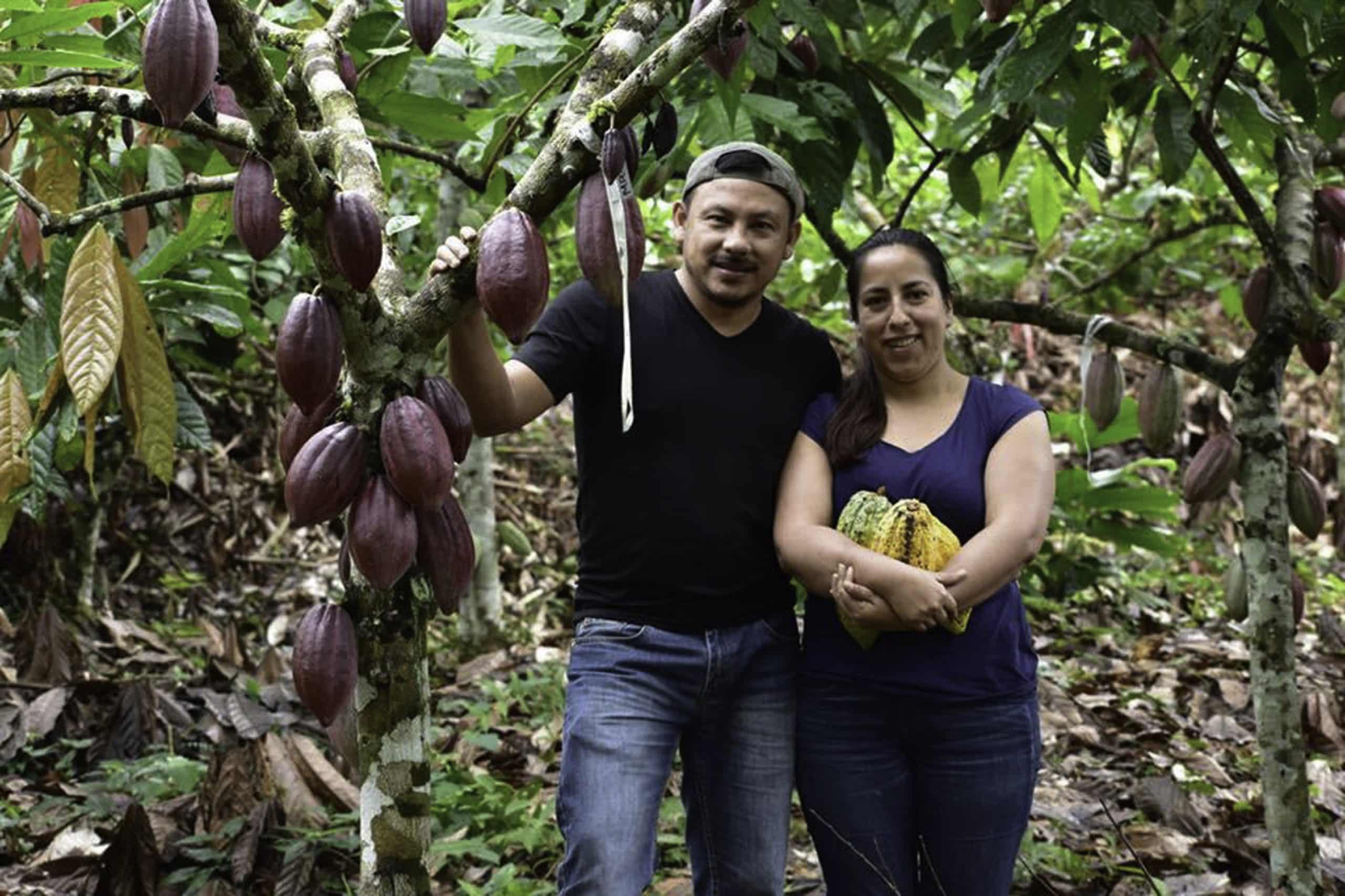 SILVA CACAO - Key Insights, Takeaways and Best Practices for EUDR Compliance