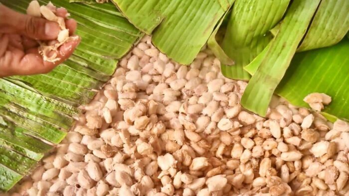 CACAO FRUIT POWDER - Image 2