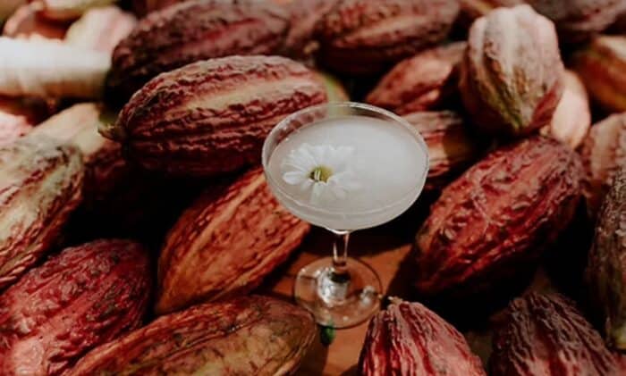 CACAO FRUIT POWDER - Image 3
