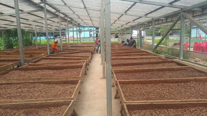 NICARAGUA - SIUNA SIGNATURE ORGANIC