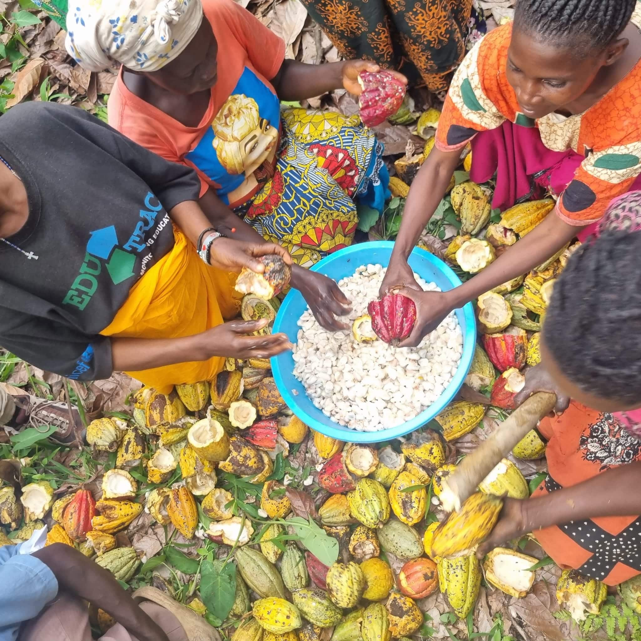 UGANDA - SIGNATURE ORGANIC